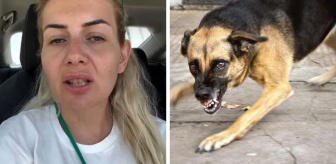 Şanlıurfa'daki kuduz köpekleri Ankara'ya getiren Buket Özgünlü Boyacı tutuklandı