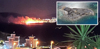 İzmir'deki yangında Çiçek Adası'nın tamamı küle döndü