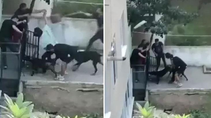 Pitbull dehşeti anbean kamerada! Ne yaptılarsa kurtaramadılar, çığlıkları sokağı inletti