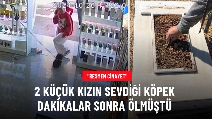 2 küçük kızın sevdiği köpek dakikalar sonra ölmüştü: Köpeğin sahibi 