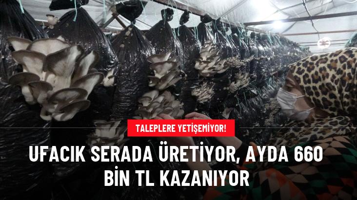 Ufacık serada üretiyor, ayda 660 bin TL kazanıyor