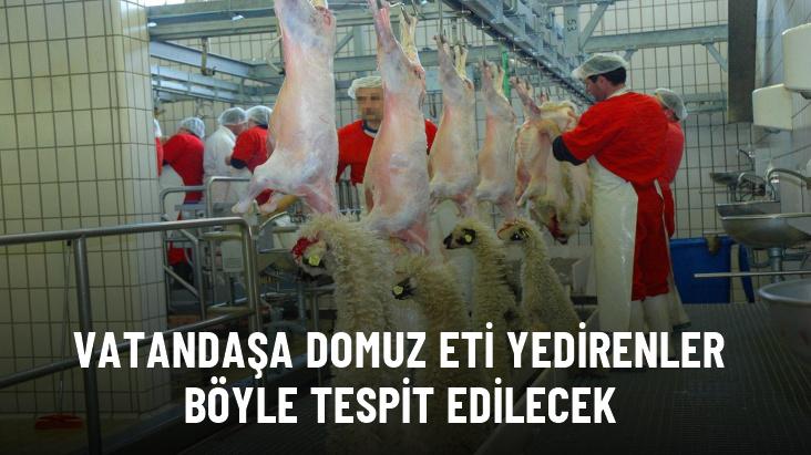 Kesimhanelere kamera zorunluluğu geliyor