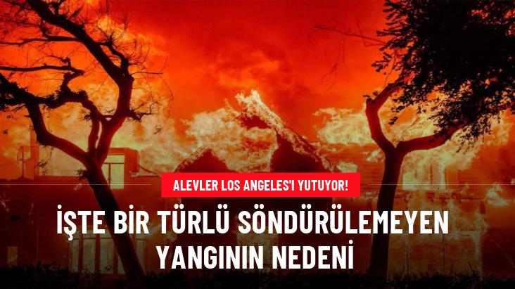 ABD'yi esir alan yangınların çıkış nedenine ilişkin ilk tahmin: Şiddetli rüzgar ve kuraklık