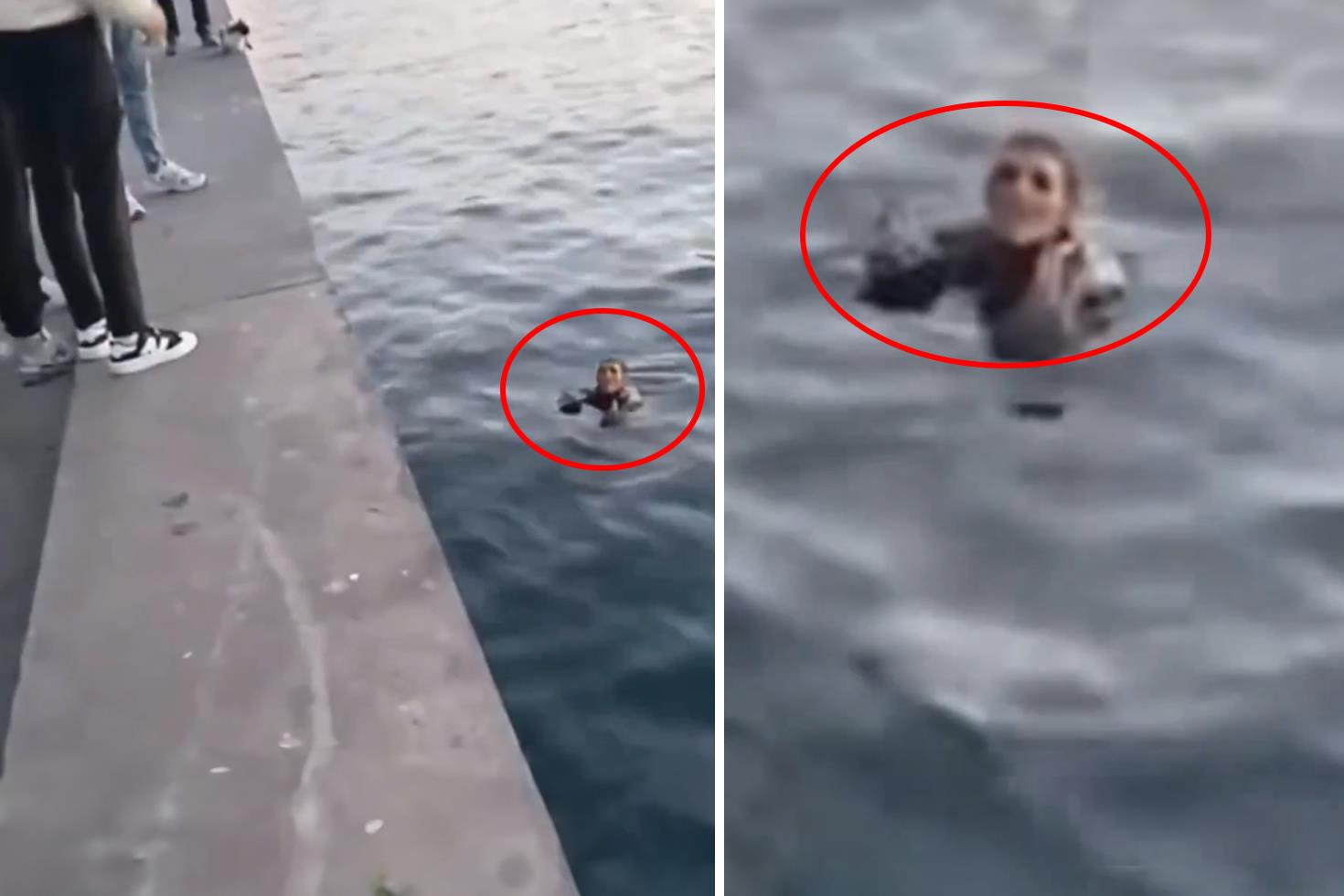 Denize düşen adamla yardım istediği kadın arasında akıllara ziyan diyalog
