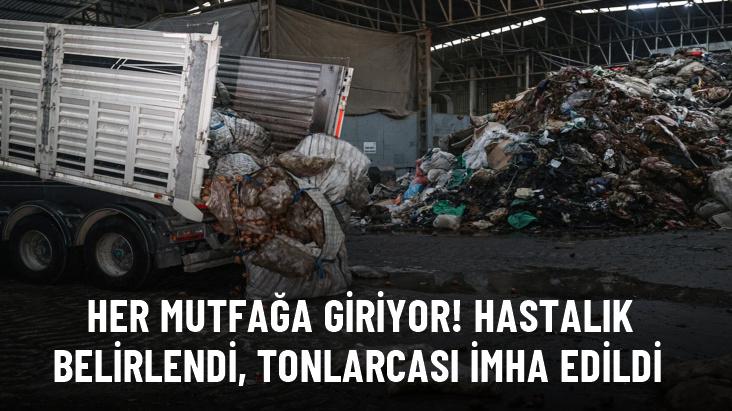 Her mutfağa giriyor! Hastalık belirlendi, tonlarcası imha edildi