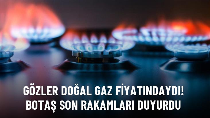 BOTAŞ'ın şubat doğal gaz tarifeleri belli oldu