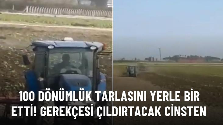 100 dönümlük tarlasını para kazandırmıyor diye yerle bir etti!