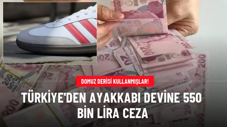 Domuz derisi kullanmışlar! Türkiye'den ayakkabı devine 550 bin lira ceza