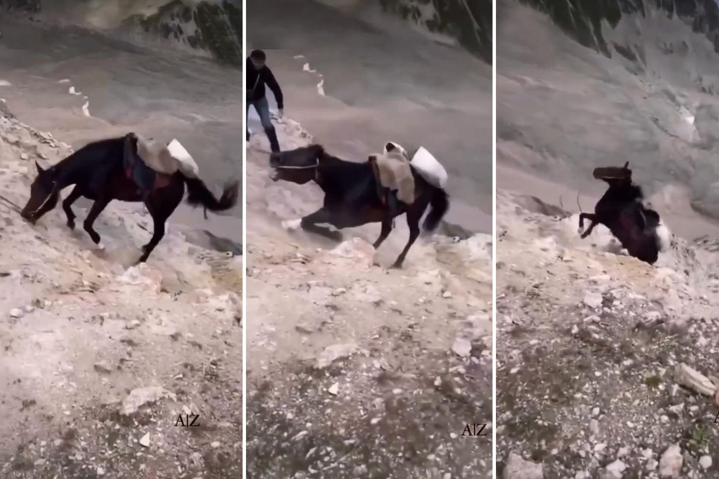 Uçurumun kenarına sürüklenen at, feci şekilde telef oldu