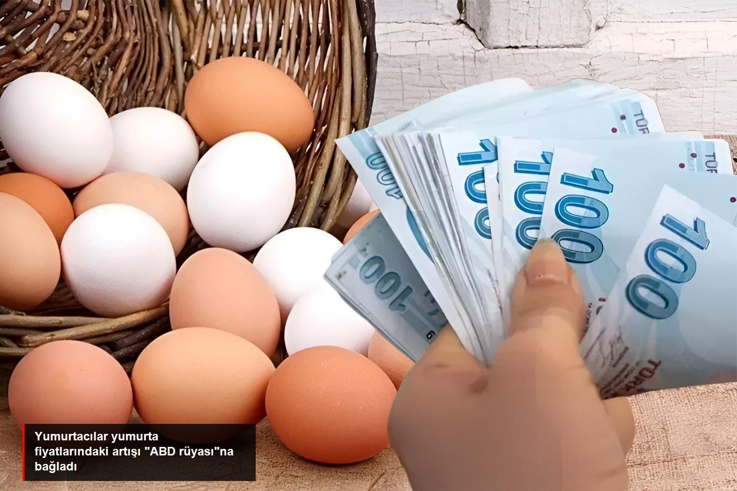Yumurtacılar yumurta fiyatlarındaki artışı ABD rüyasına bağladı