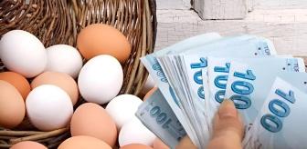Yumurtacılar yumurta fiyatlarındaki artışı 'ABD rüyası'na bağladı