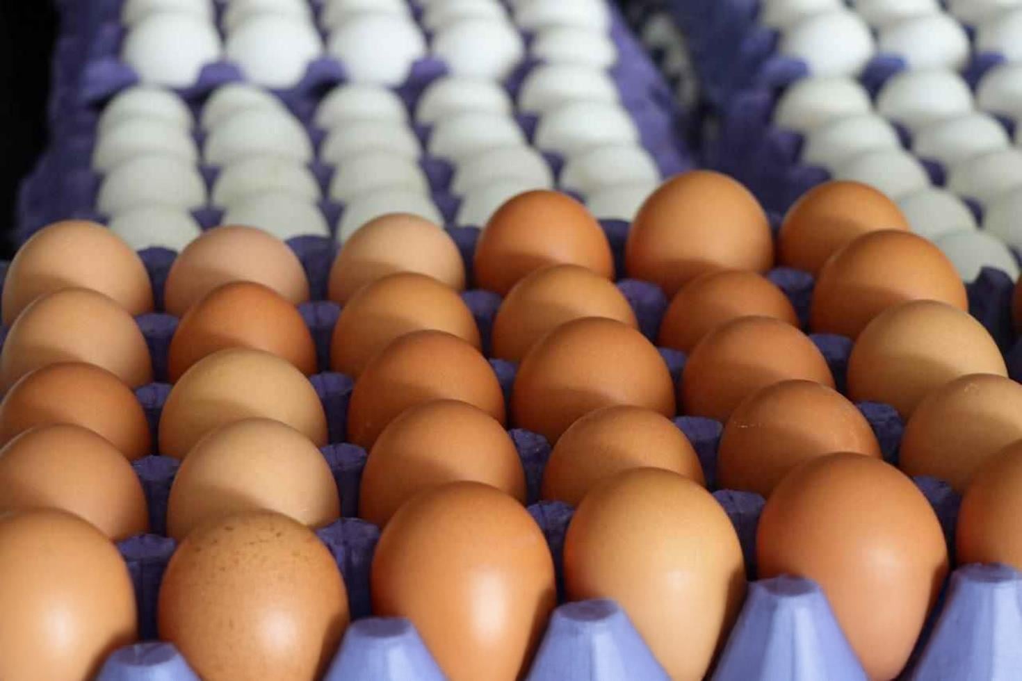 Amerika etkisi zincir marketlerde yumurtaya böyle yansıdı