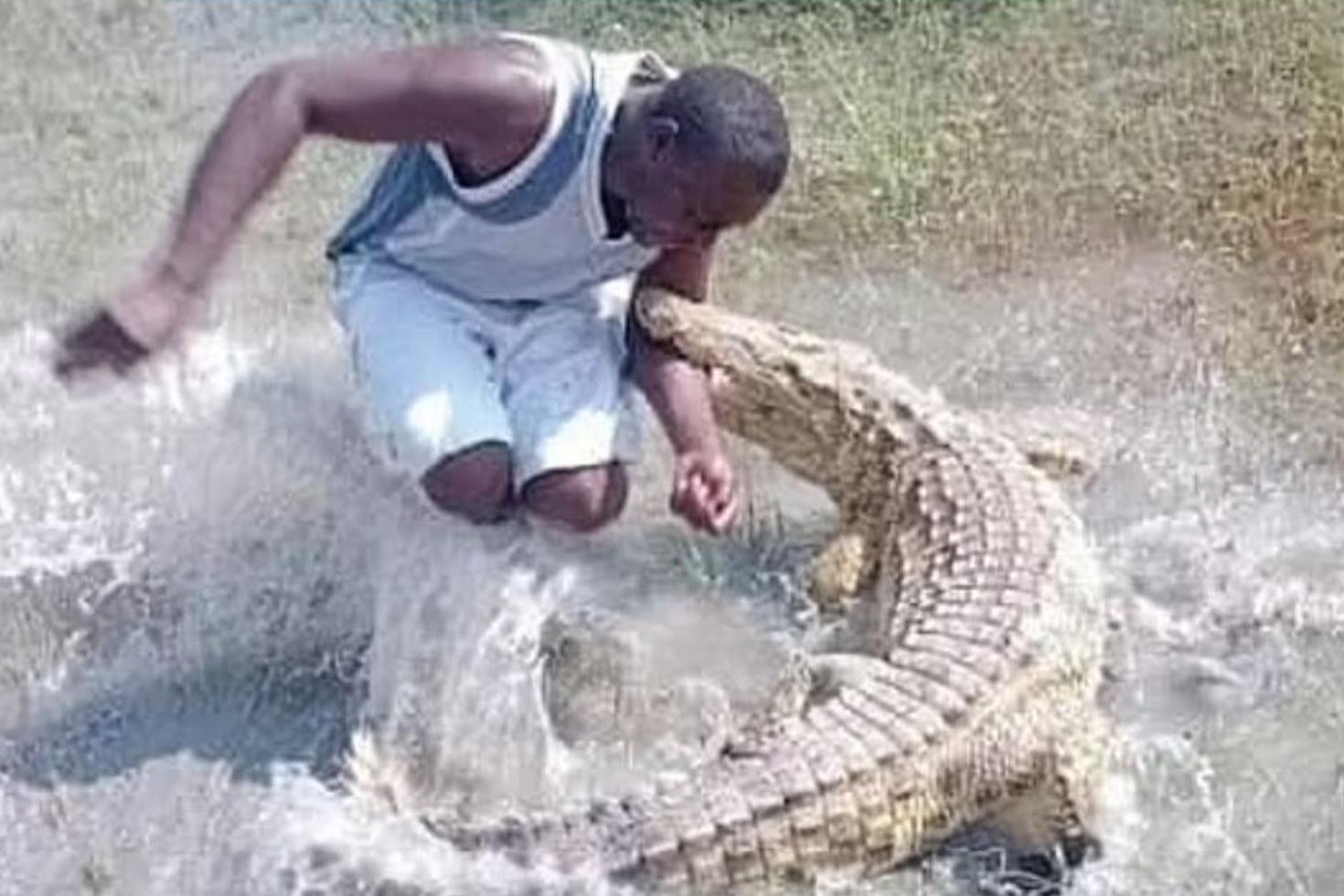 Bakıcının rahatlığı faciayla bitti! Timsahın tek hamlesi yetti