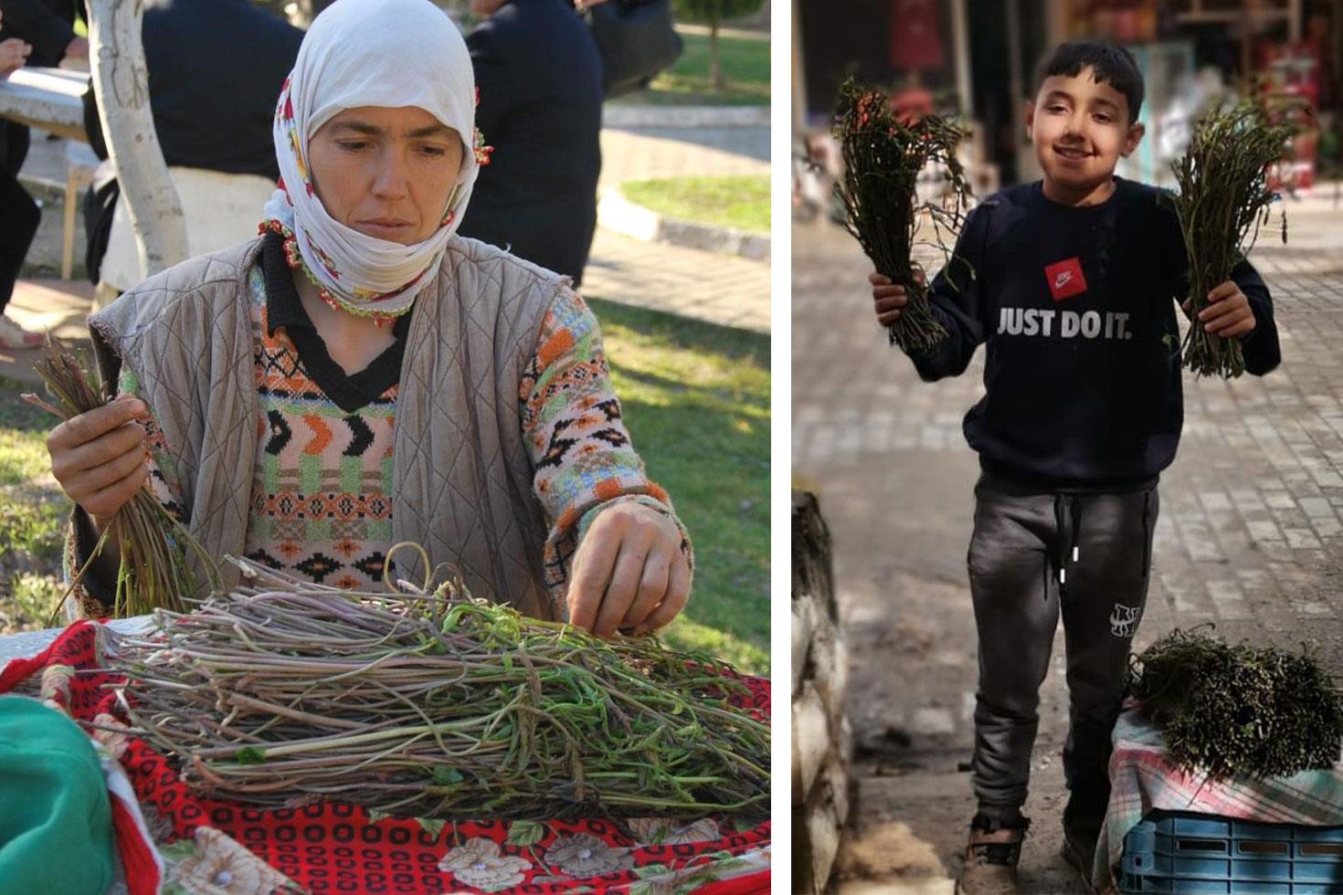 Aydın'da kendiliğinden yetişen bu otlar garibanın cüzdanını, zenginin sofralarını süslüyor