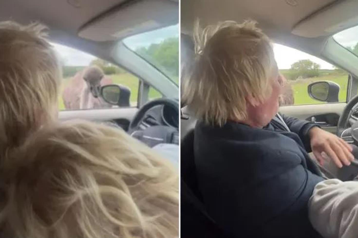 Eski başbakan Boris Johnson'ı safari parkında devekuşu ısırdı