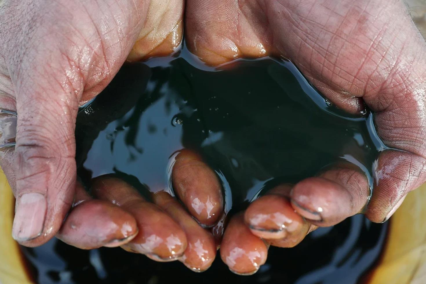 Suudi Arabistan'da 14 yeni petrol ve doğal gaz sahası bulundu