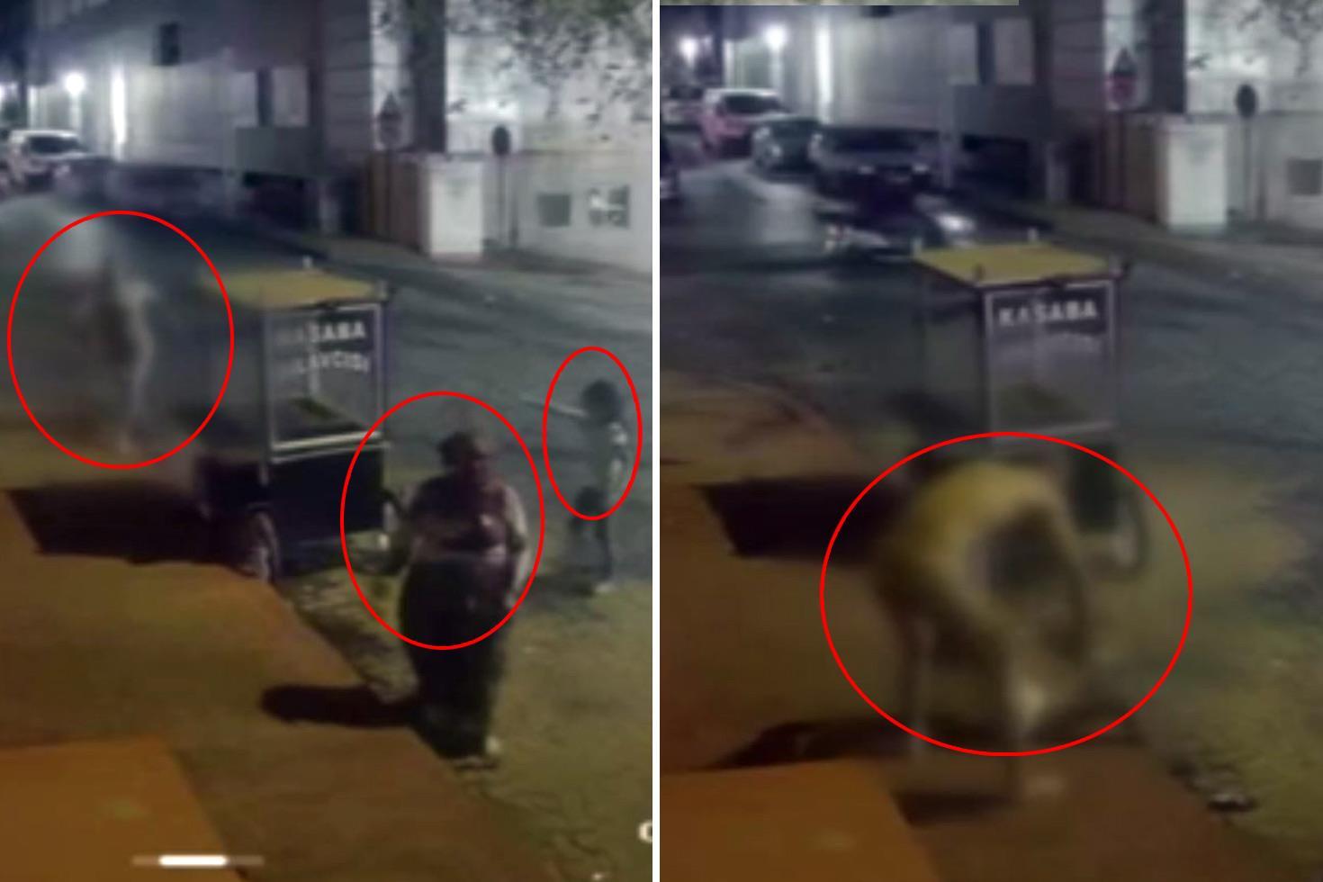 Eşini öldürdü, 8 yaşındaki kızını da yaraladı! Dehşet anları saniye saniye kamerada