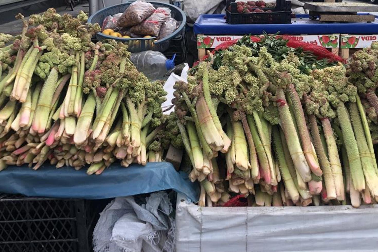 Ünü ABD'ye kadar yayıldı! 300 liraya satılıyor, kanserin yeni ilacı