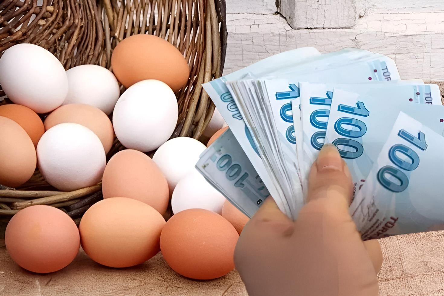 Yumurta fiyatları yapılan düzenlemelerin ardından normal seviyeye döndü