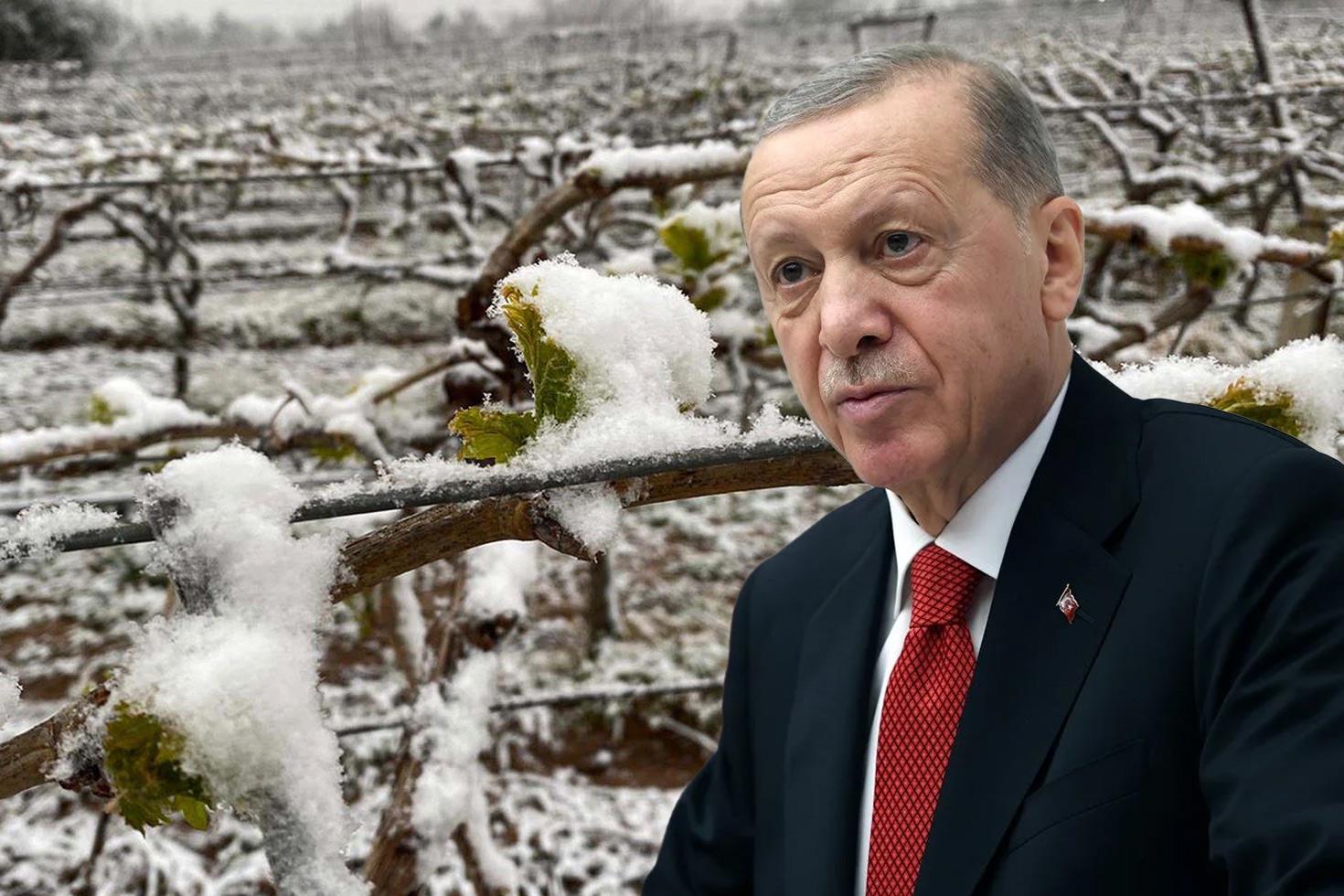 Bu yıl sıkıntı yaşayacağız diyen Cumhurbaşkanı Erdoğan, o ürünleri tek tek saydı