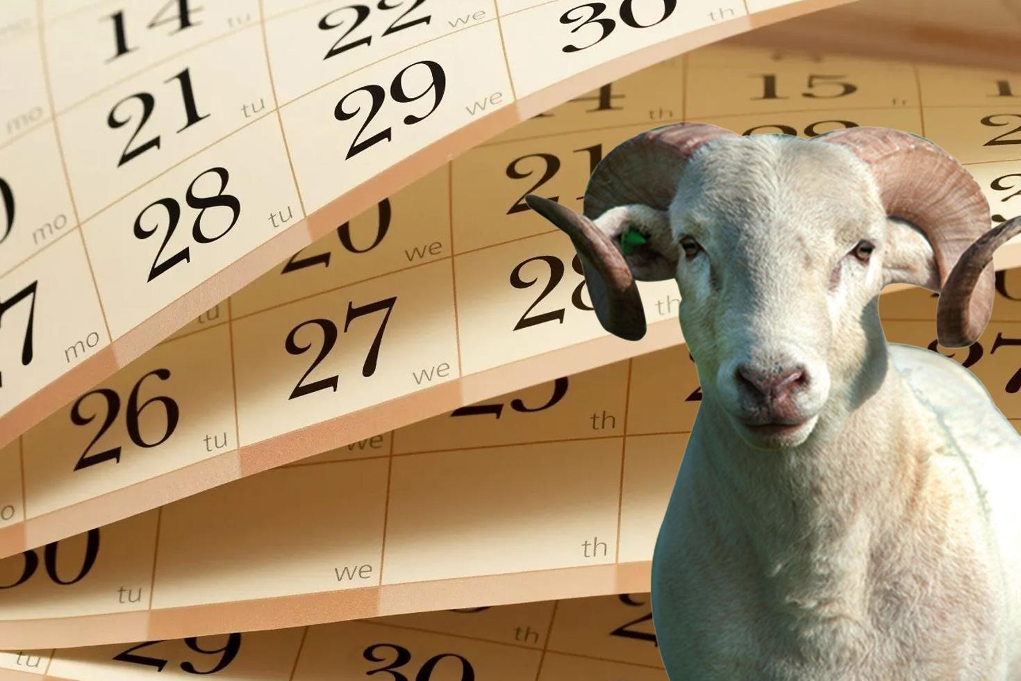 Kurban Bayramı tatili uzatılmadı! Kamuda mesai 10 Haziran Salı günü başlayacak