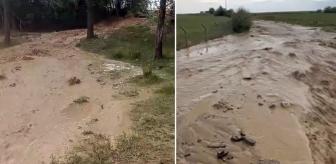 Bir şehrimizi sel vurdu, tarım arazileri sular altında kaldı