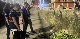 Bakanlık o görüntüler üzerine harekete geçti! Dudak uçuklatan ceza