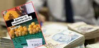 CHP'li ismin kayısı yalanı pahalıya patladı! Kesilen cezaya bakın