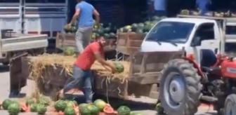 Karpuz parçalayan iki üretici yandı! Milyonluk ceza yolda