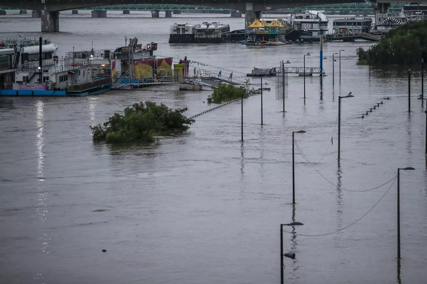 Güney Kore'de sel felaketi: 14 kişi hayatını kaybetti