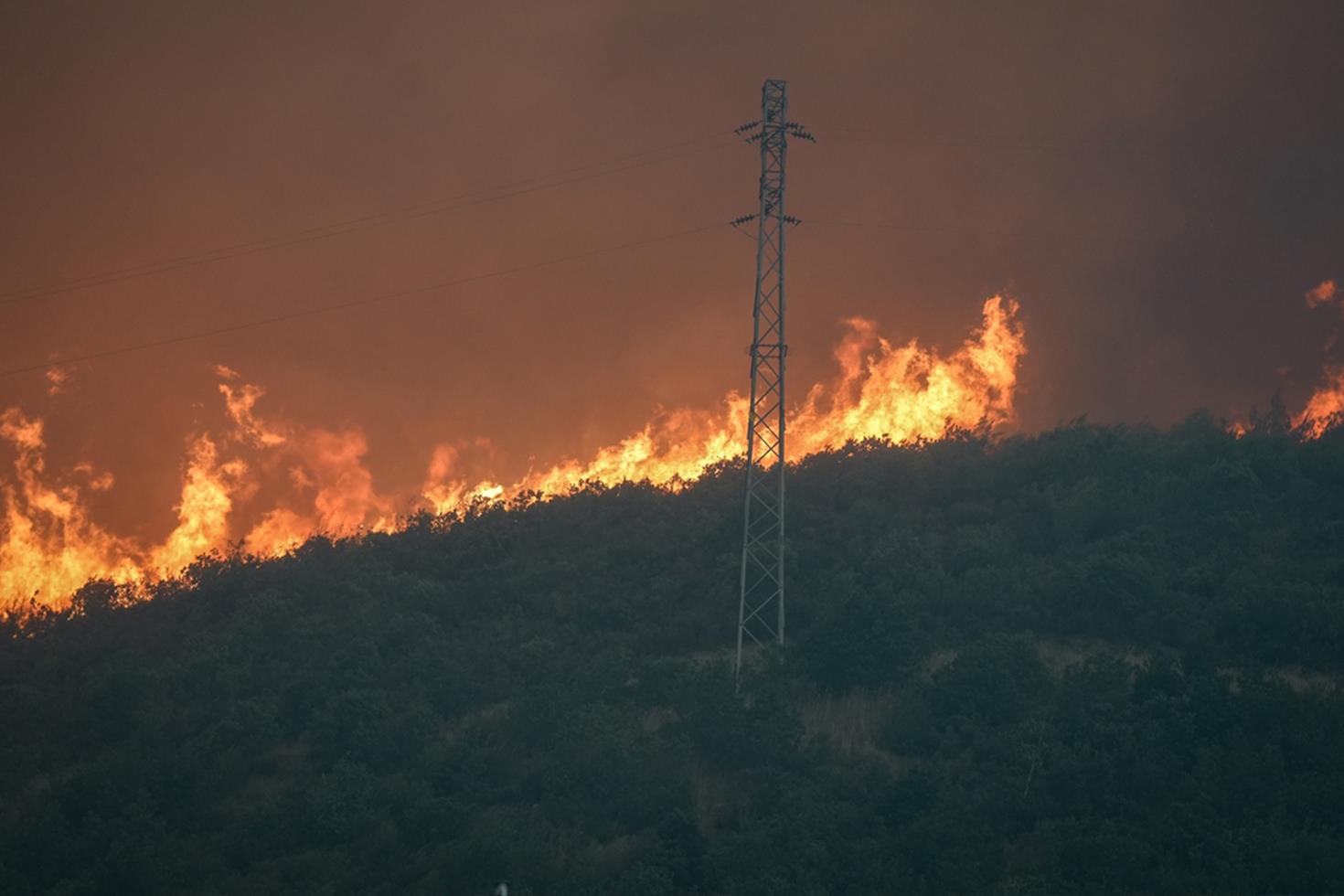 Eskişehir'de yangında alevlerin arasında kalan 5 orman işçisi ve 5 AKUT çalışanı şehit oldu