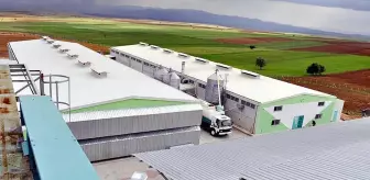 FETÖ soruşturmasında, yumurta devine de kayyum atanmış