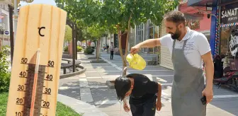 Tüm zamanların sıcaklık rekorunun kırıldığı o ilçede hayat durdu
