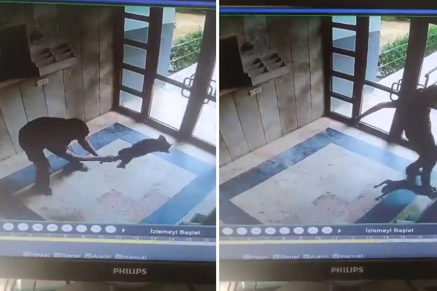 Kan donduran vahşet! Kediyi dakikalarca işkence ederek öldürdü