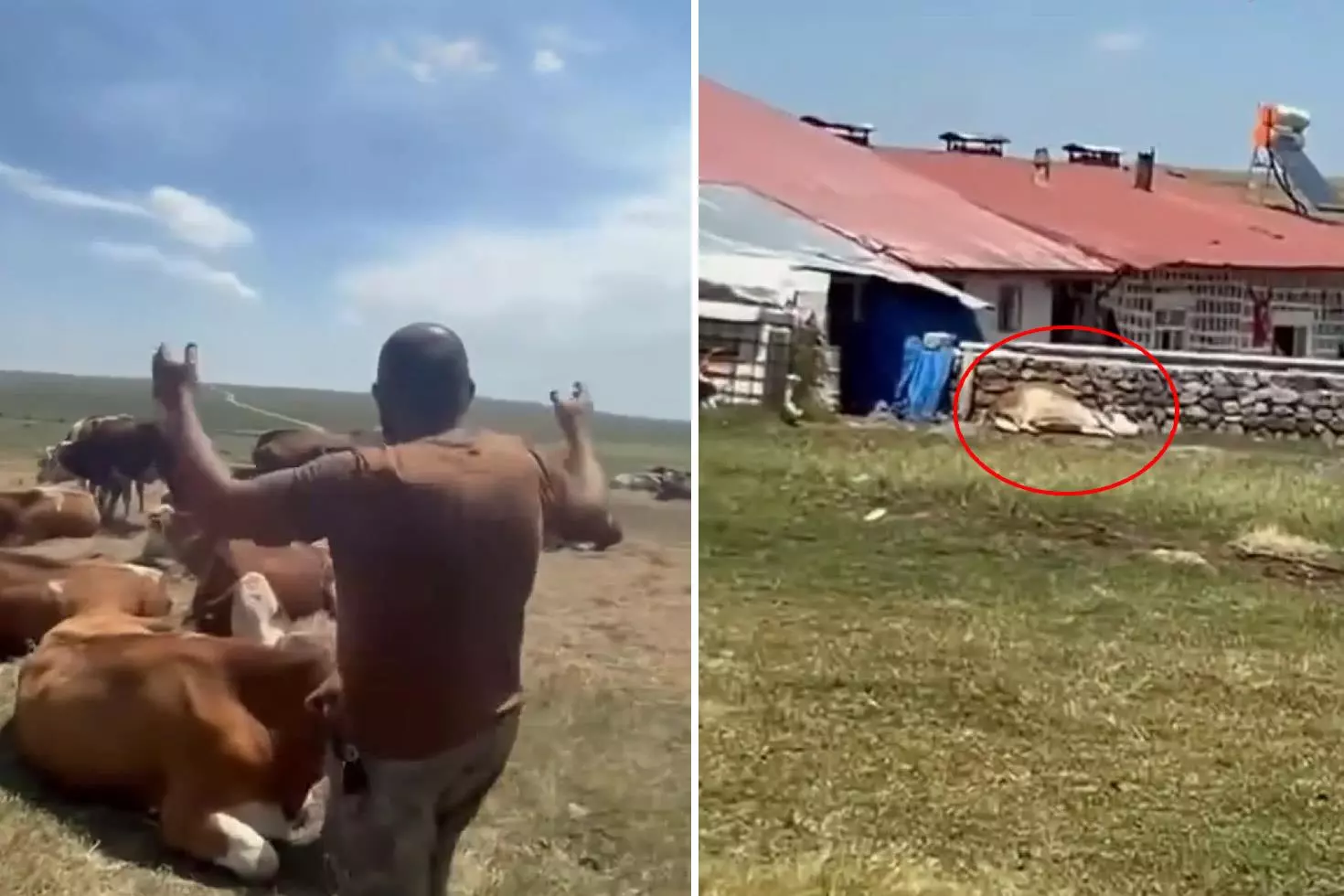 Bir ilimizde durum vahim! Nerede bu yetkililer? diyerek isyan etti: Allah sen yardım et