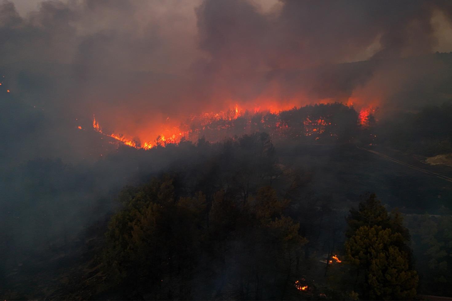 İzmir'in Buca ilçesinde orman yangını! Alevler hızla ilerliyor