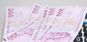 530 bin kişinin beklediği ödeme hesaplara yatırıldı! Zam da yansıtıldı