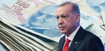 Fiyatlar 36 kat artmıştı! Erdoğan'ın talimatı sonrası harekete geçildi