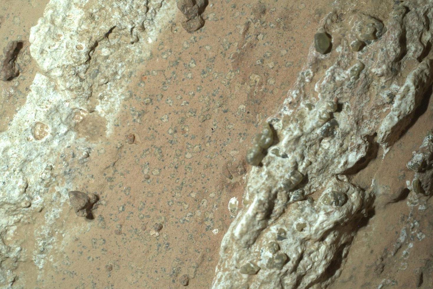 NASA, Mars'ta yaşam izi bulunduğunu açıkladı