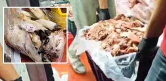 Başkentte mide bulandıran skandal! Hepsini halka yedireceklerdi