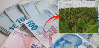 2019'da çektiği kredi ile hayatı değişti: Aylık 640 bin TL kazanıyorum