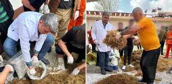 Hükümlüler cezaevinde yetiştirdi, kilosu 15 bin TL'den satılıyor