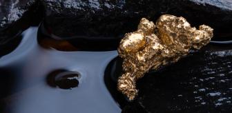 ABD gözünü buraya dikti! Altın, elmas ve petrol fışkırıyor