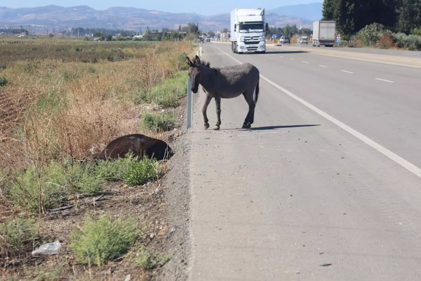 Yürek yakan anlar Saatlerce annesinin başında ağladı