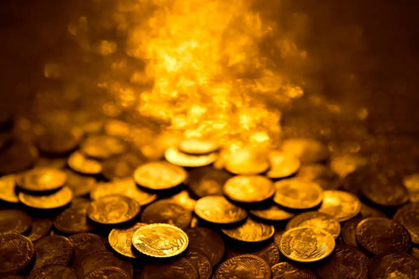 Bahçeden çıkan servet Tam 500 parça, birinin değeri 52 milyon TL