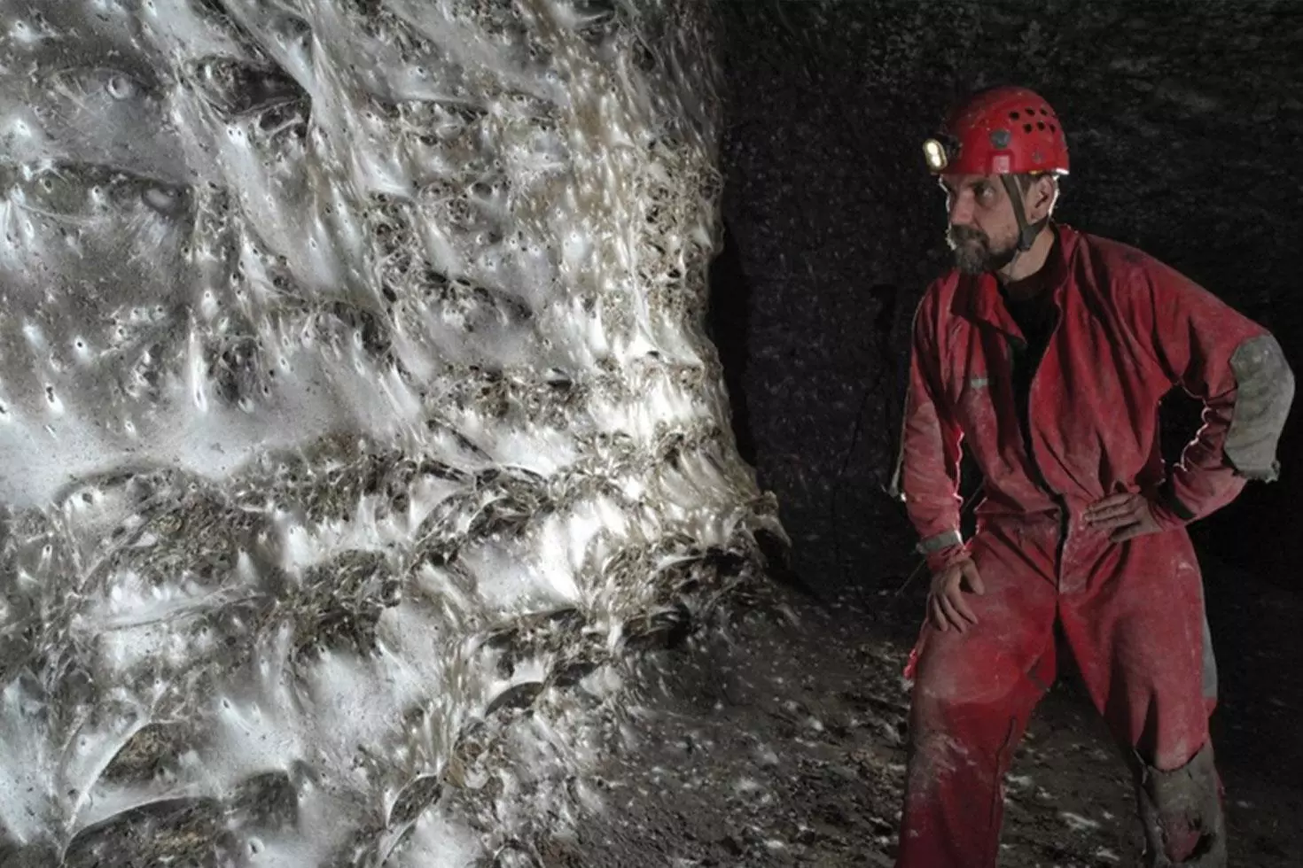 Dünyanın en büyük örümcek ağı keşfedildi