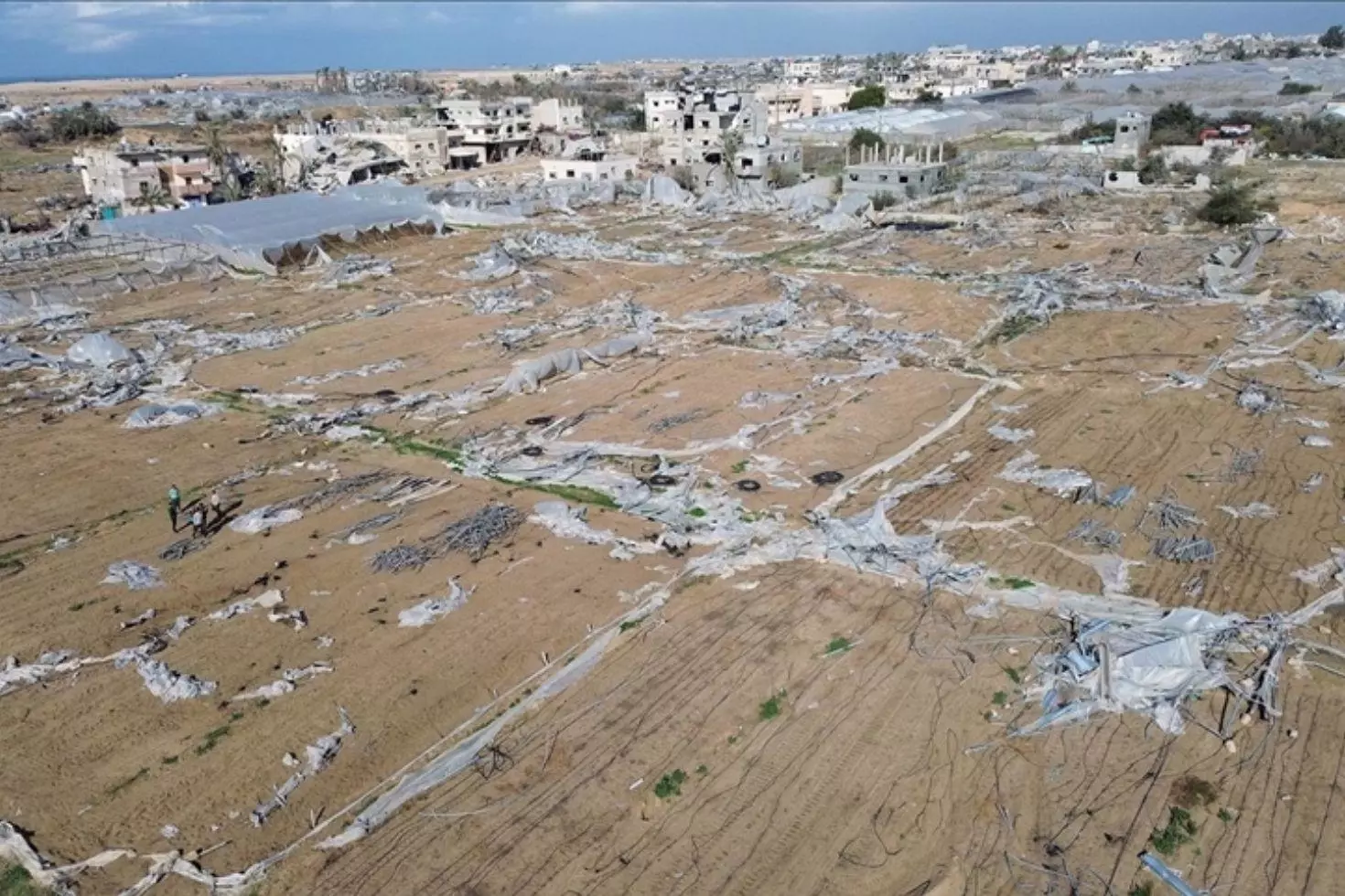 İsrail’den Gazze’nin tarım altyapısına ağır darbe Bilanço açıklandı