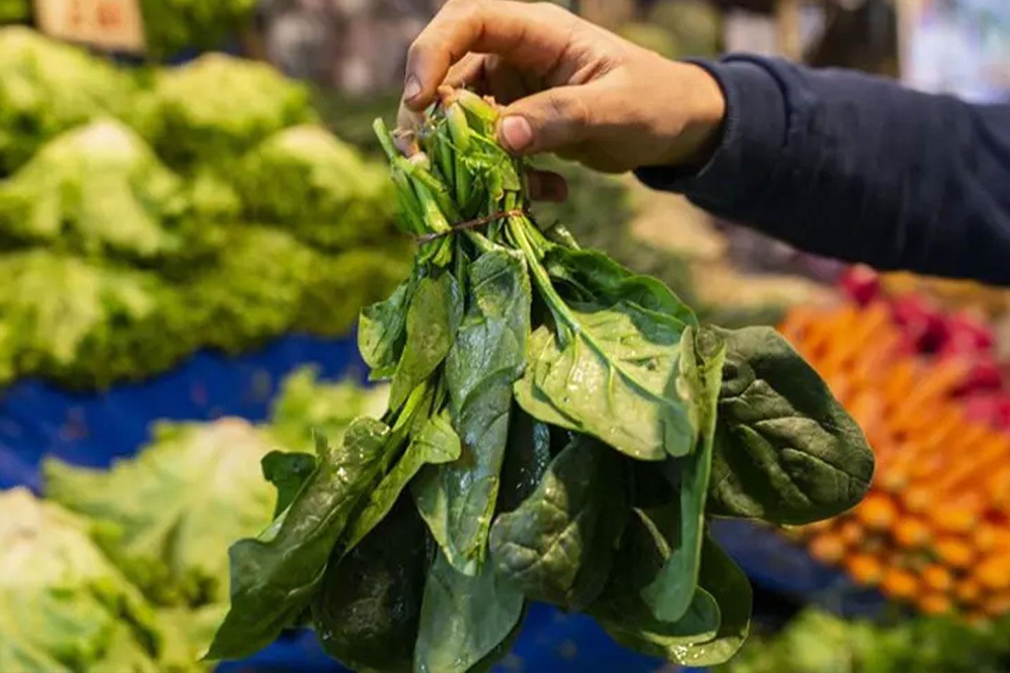 Ispanak sanıp yediler, ölümün eşiğine geldiler