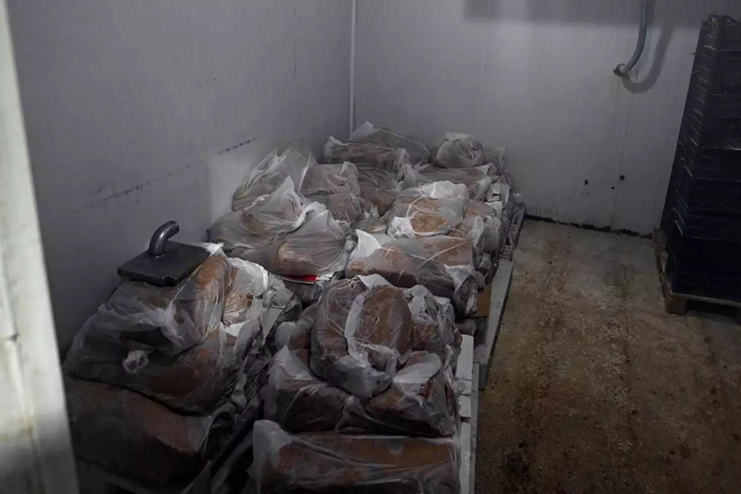 Yakalanmasa vatandaşlara yedireceklerdi 60 tondan fazla ele geçirildi