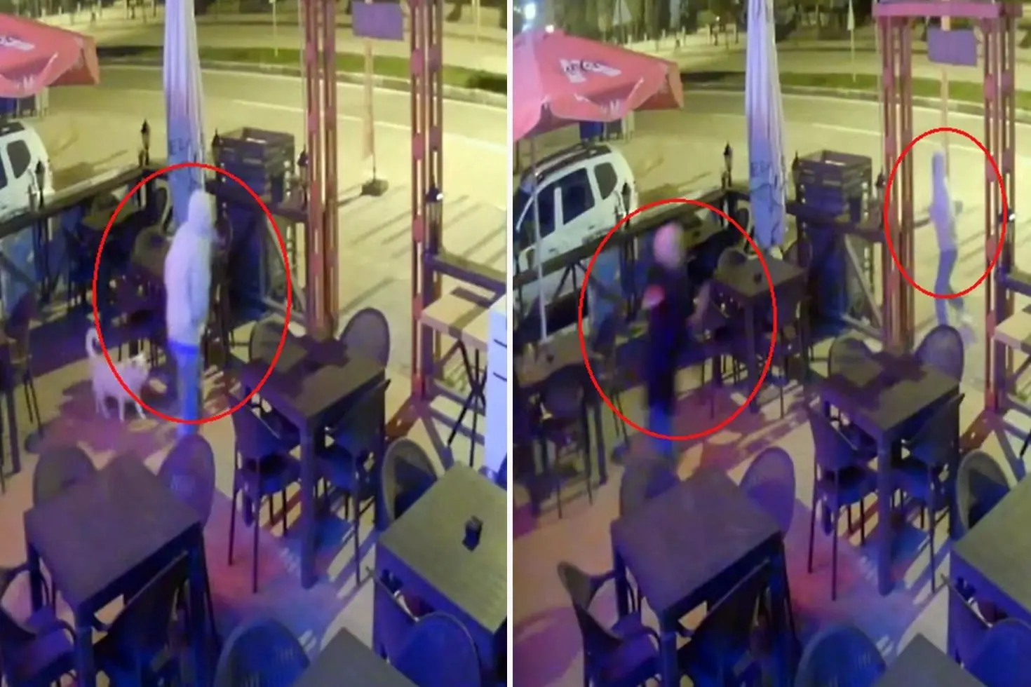 İşyerine defalarca giren hırsızı sopayla kovaladı